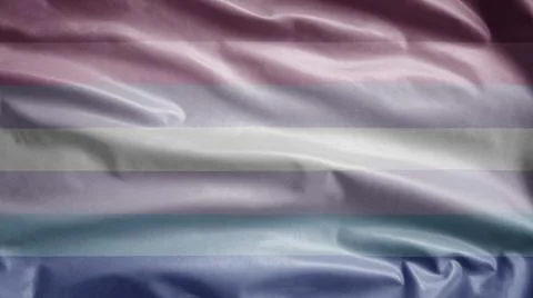 Gender binary flag waving in the wind. Binarism community banner blowing. Stock Photos