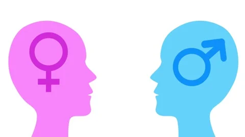 Gender Identity Head Profiles Flat Animation Stock Footage 336232097
