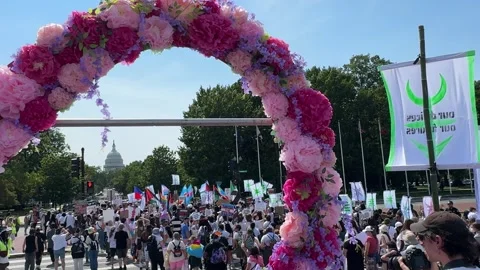 Gender Liberation March Stock Footage 284559848