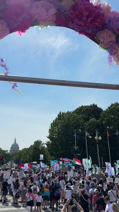 Gender Liberation March Stock Footage 284559849