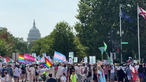 Gender Liberation March Stock Footage 284559966
