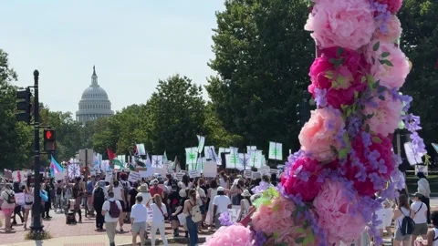 Gender Liberation March Stock Footage 284559986