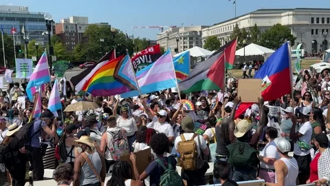 Gender Liberation March Stock Footage 284560145