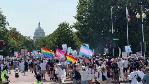 Gender Liberation March Stock Footage 284560366