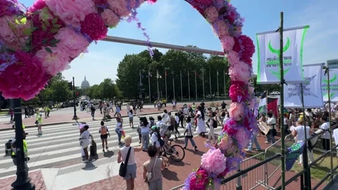 Gender Liberation March Stock Footage 284560489