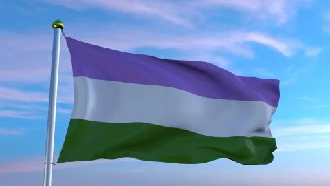 Genderqueer pride flag Illustrazione stock