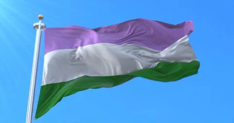 Genderqueer pride flag 스톡 일러스트