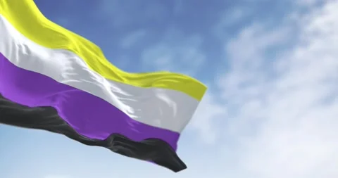 Genderqueer Pride flag waving on a clear day Stock Footage 276918160