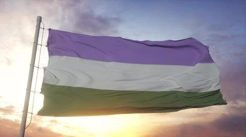 Genderqueer pride flag waving in the wind, sky and sun background. 3d renderi Stock Illustration