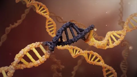 Gene chain mutations cause tumor cell proliferation 库存影片 345102075