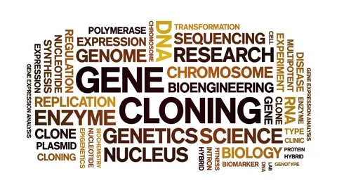 Gene Cloning animated word cloud,animation tag kinetic typography seamless loop Stock Footage 293754060
