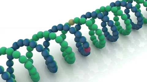 Gene in DNA. Stock Footage 783762
