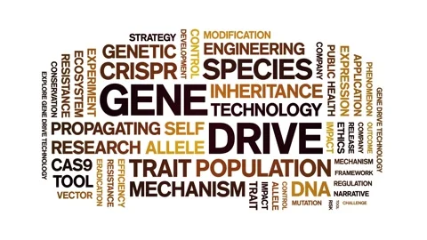 Gene Drive animated word cloud,animation tag kinetic typography seamless loop. Stock-Footage 317675608