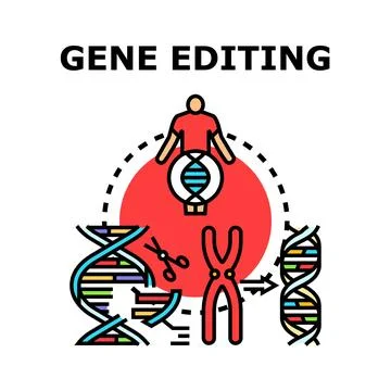Gene editing concept processing genetic modification sequence Stock Illustration