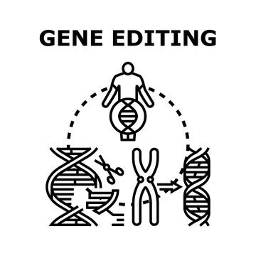 Gene editing concept processing genetic modification sequence Stock Illustration