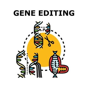 Gene editing dna structure for medical advancement Stock Illustration