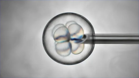 Gene editing. Stock Footage 141569698