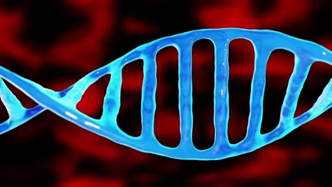Gene Editing Illustration Stock Footage 229501131