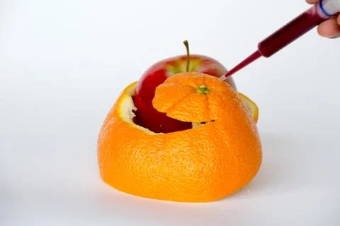 Gene editing an orange Фото