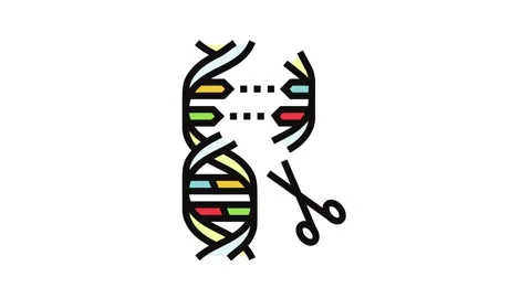 Gene editing scissors genetic color icon animation Stock Footage 326108568