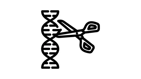 Gene editing scissors genetic line icon animation Stock Footage 326749145