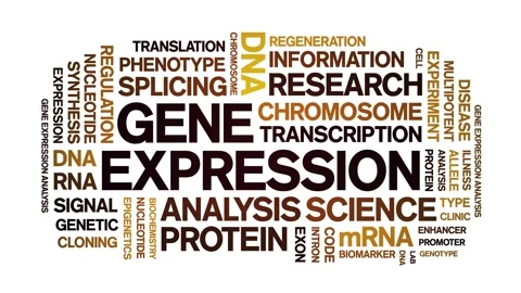 Gene Expression animated word cloud,animation kinetic typography seamless loop. Stock Footage 293751214
