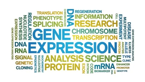 Gene Expression animated word cloud,animation kinetic typography seamless loop. Stock Footage 293751244