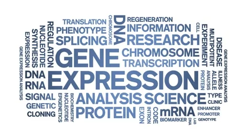Gene Expression animated word cloud,animation kinetic typography seamless loop. Stock Footage 293751267