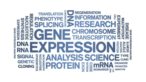 Gene Expression animated word cloud,animation kinetic typography seamless loop. Stock Footage 293751280