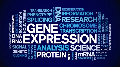 Gene Expression animated word cloud,animation kinetic typography seamless loop. Stock Footage 293751461