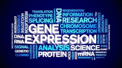 Gene Expression animated word cloud,animation kinetic typography seamless loop. Stock Footage 293751697