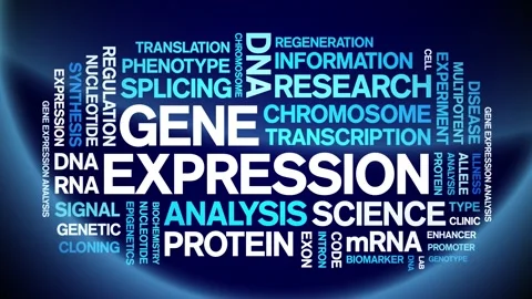 Gene Expression animated word cloud,animation kinetic typography seamless loop. Stock Footage 293751845