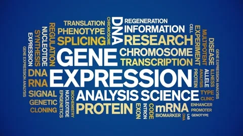 Gene Expression animated word cloud,animation kinetic typography seamless loop. Stock Footage 293752298