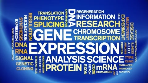 Gene Expression animated word cloud,animation kinetic typography seamless loop. Stock Footage 293752640