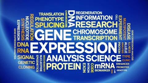 Gene Expression animated word cloud,animation kinetic typography seamless loop. Stock Footage 293752735