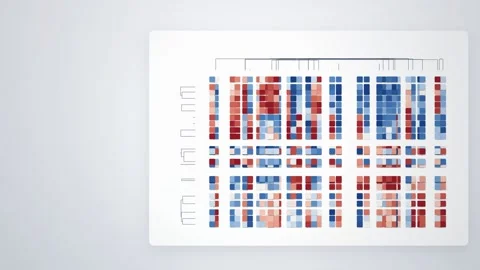Gene Expression Heatmap Hierarchical Clustering Dendrogram Sorting Animation Stock-Footage 347279444