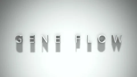 Gene Flow 3D title animation with shadow... | Stock Video | Pond5