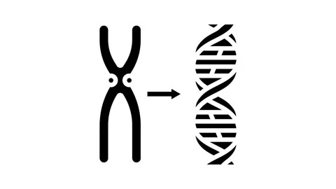 Gene genetic engineering glyph icon animation Stock Footage 326145899
