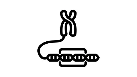 Gene genetic engineering line icon animation Stock Footage 326749153