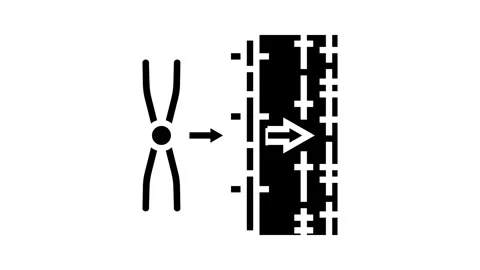 Gene mapping cryptogenetics glyph icon animation Stock Footage 326150896
