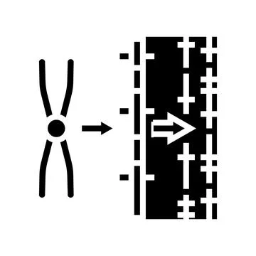 Gene mapping cryptogenetics glyph icon vector illustration Illustrazione stock