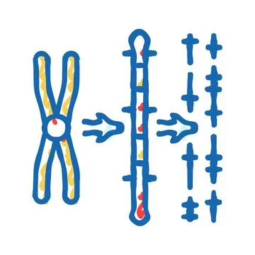 Gene mapping cryptogenetics icon doodle illustration Stock Illustration