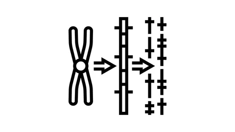 Gene mapping cryptogenetics line icon animation Stock Footage 326130391