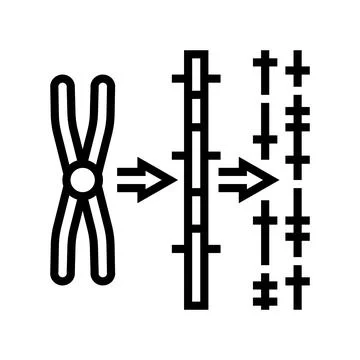 Gene mapping cryptogenetics line icon vector illustration Stock Illustration