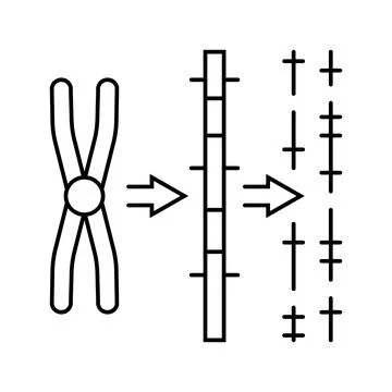 Gene mapping cryptogenetics line icon vector illustration 스톡 일러스트