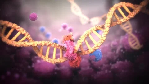Gene modification empowers immune cells to recognize and destroy tumor cells. Stock Footage 345200023