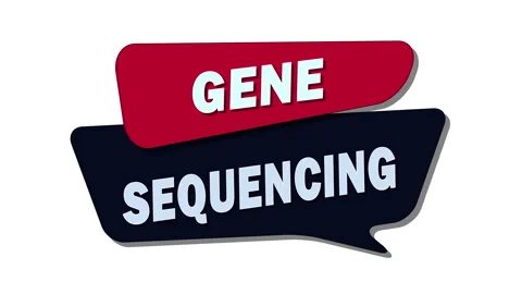 Gene sequencing – The process of determining the precise order Stock Footage 308715393