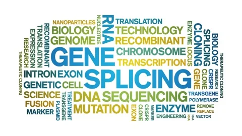 Gene Splicing animated word cloud,animation kinetic typography seamless loop. Stock Footage 293755014