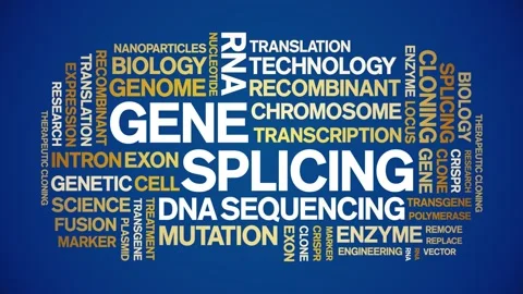 Gene Splicing animated word cloud,animation kinetic typography seamless loop. Stock Footage 293755754