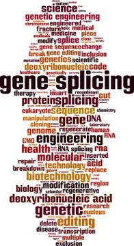 Gene splicing word cloud Stock Illustration